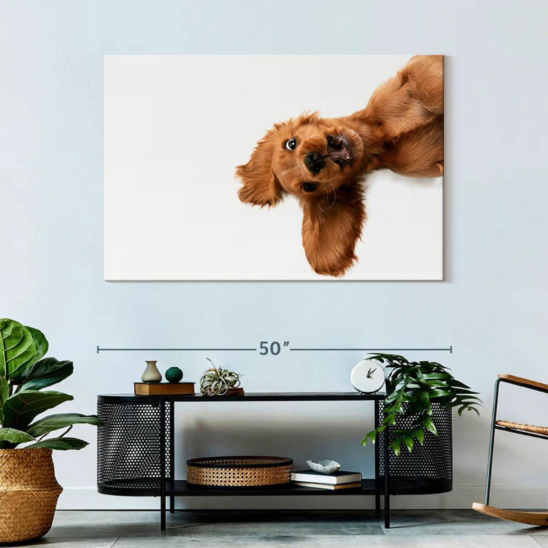 Brampt Happy Cocker Spaniel Puppy, 32" H x 48" W