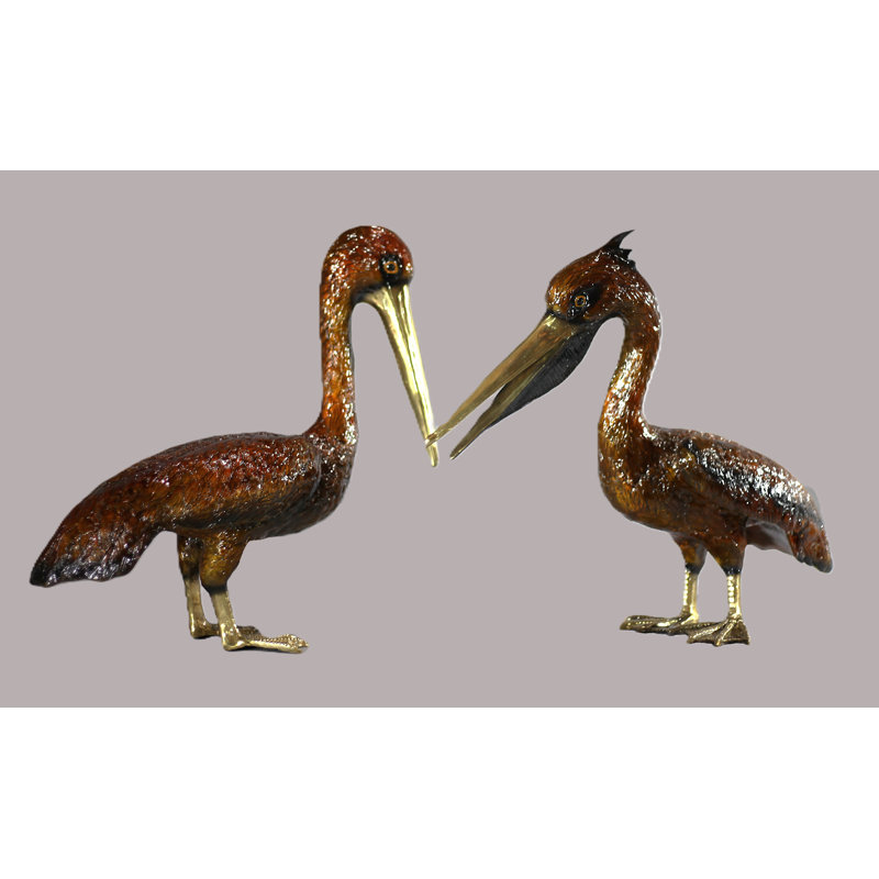 Pelican Edwin