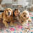 Washable Area Rug, Non-Slip Low Pile Stain Resistance Rug with Peacock and Deer, Animal Carpet for Living Room, Bedroom, Dining Room-386008839-386008834