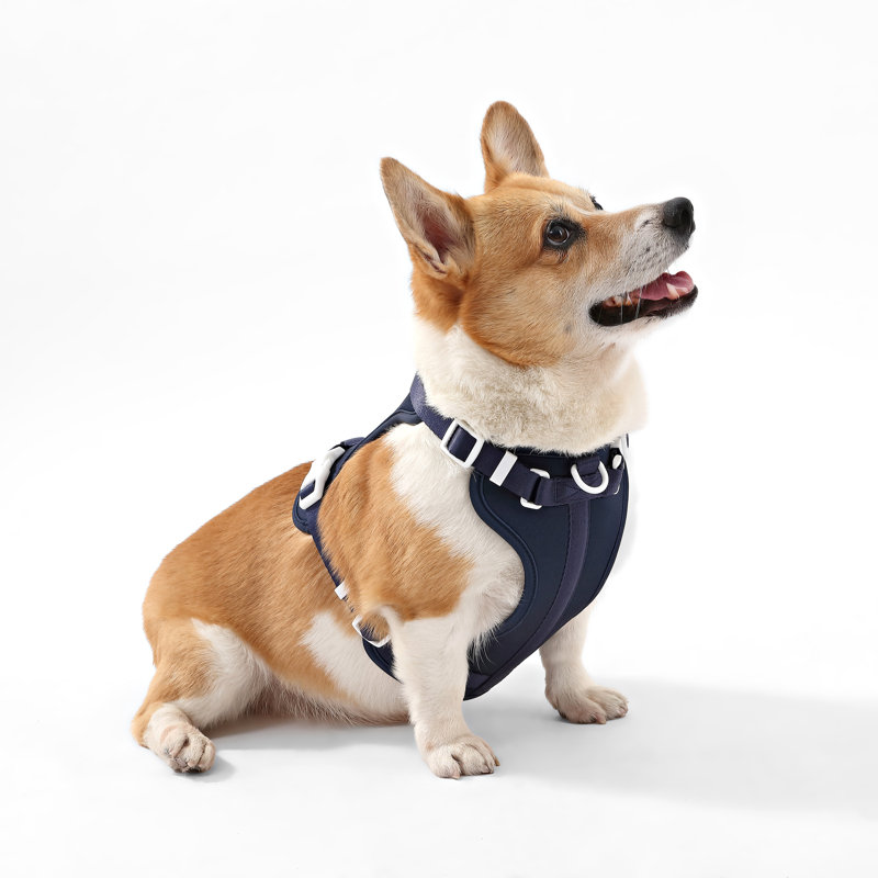Harnais pour animal de compagnie Arlo, Marine, 28" W x 28" D
