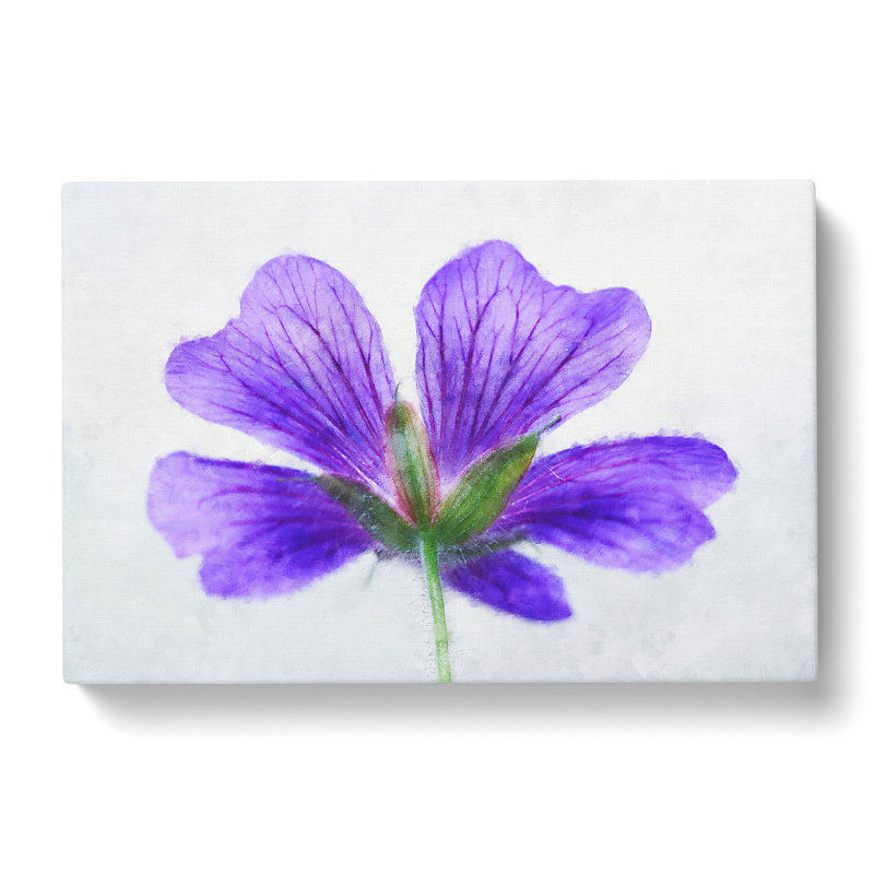 Purple Geranium Flower - Wrapped Canvas Print, 35cm H x 50cm W x 3cm D