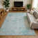Premium Machine Washable Varasteh AMF1664 Global Rug