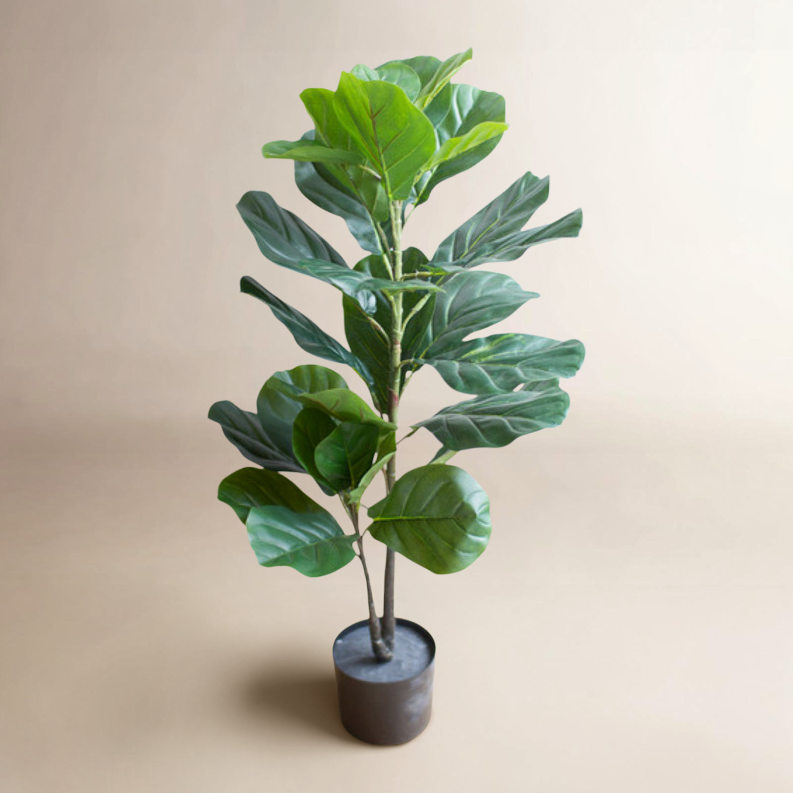 38'' Fiddle Leaf Fig Plant in Pot