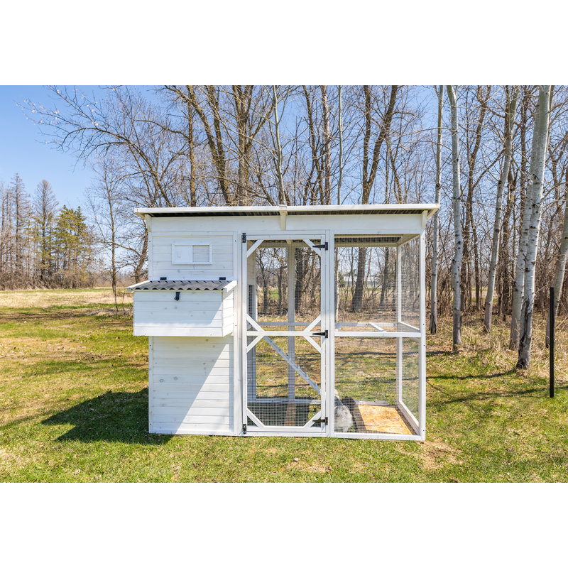 Zylina White Wooden Modern Walk-In Chicken Coop