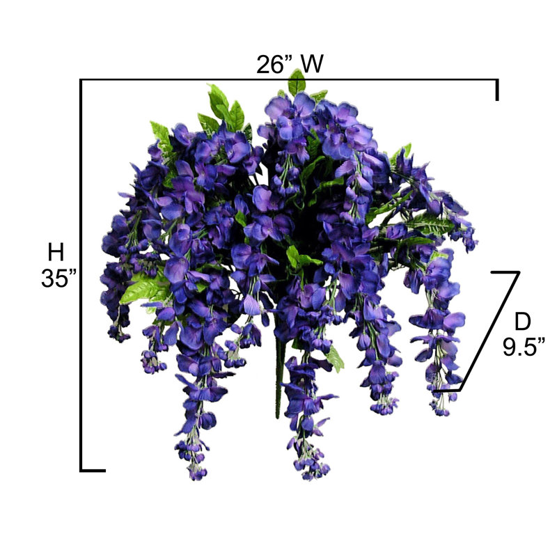 Fleurs et tiges de glycine, Mauve