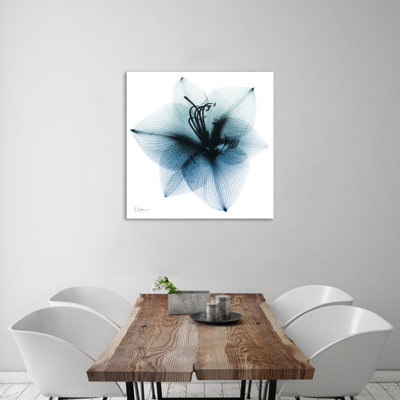 " Glacial Amaryllis 1 " Acrylic Print