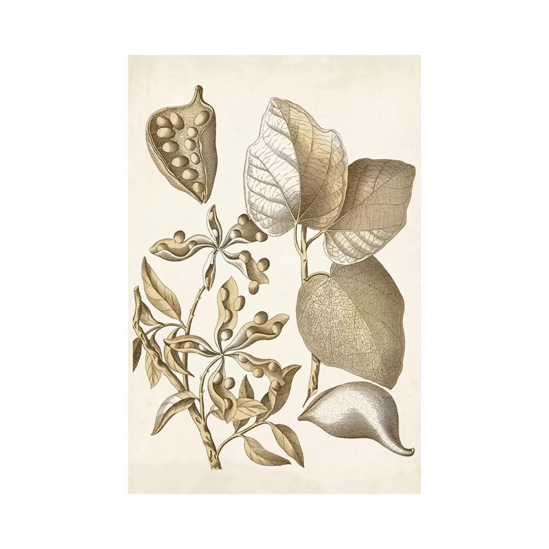 Ochre Botanical III by Vision Studio - Wrapped Canvas Gallery-Wrapped Canvas Giclée, 101.6 cm H x 66.04 cm W x 1.91 cm D