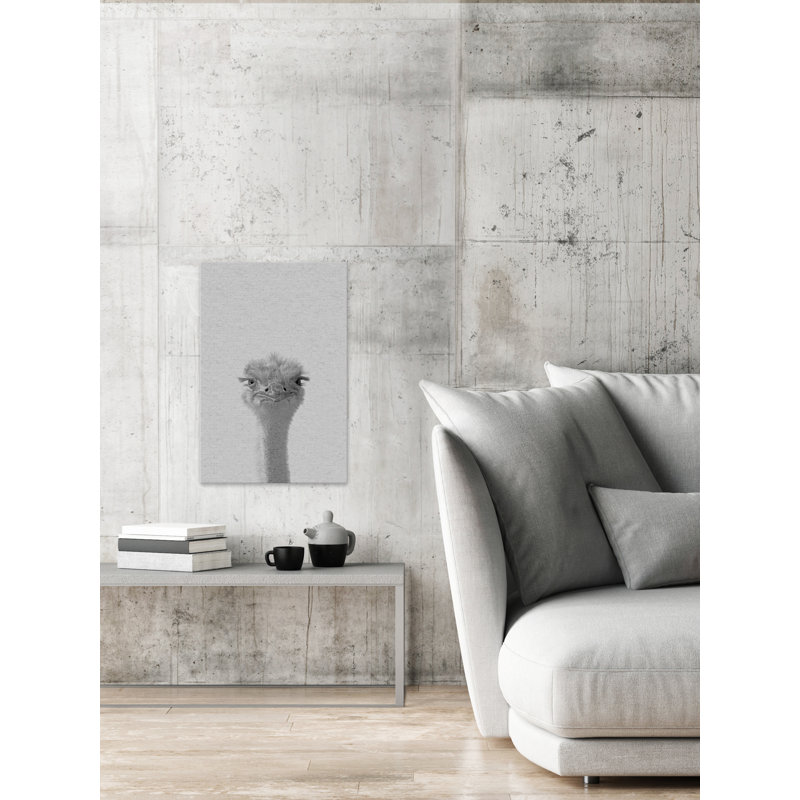 Grumpy Ostrich - Wrapped Canvas Print, 30 cm H x 20 cm W x 4 cm D