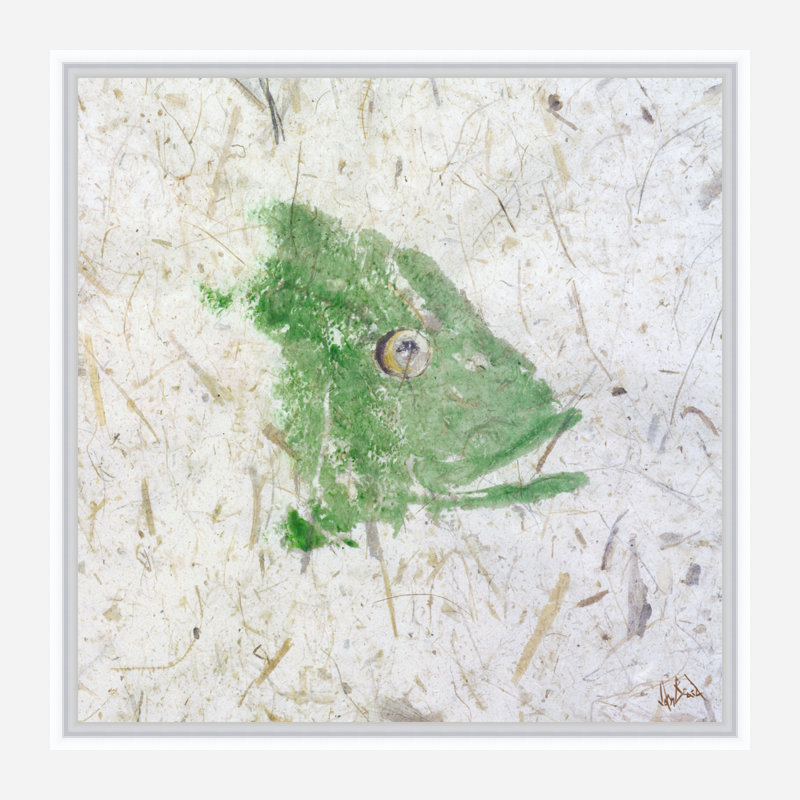 Snapper Green Print by John Beard, 22" H x 22" W x 2" D, White Floater Framed