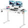 Curtia 140Cm W  Electric Height Adjustable  Desk with Charging Station & LED Light