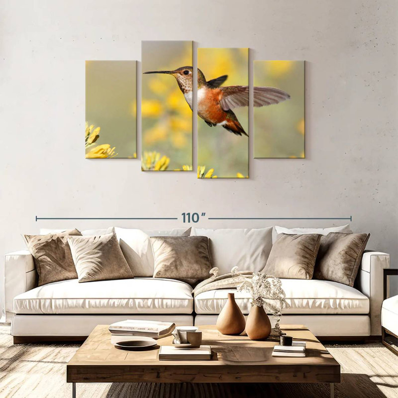 Colibri de Brampt Allen