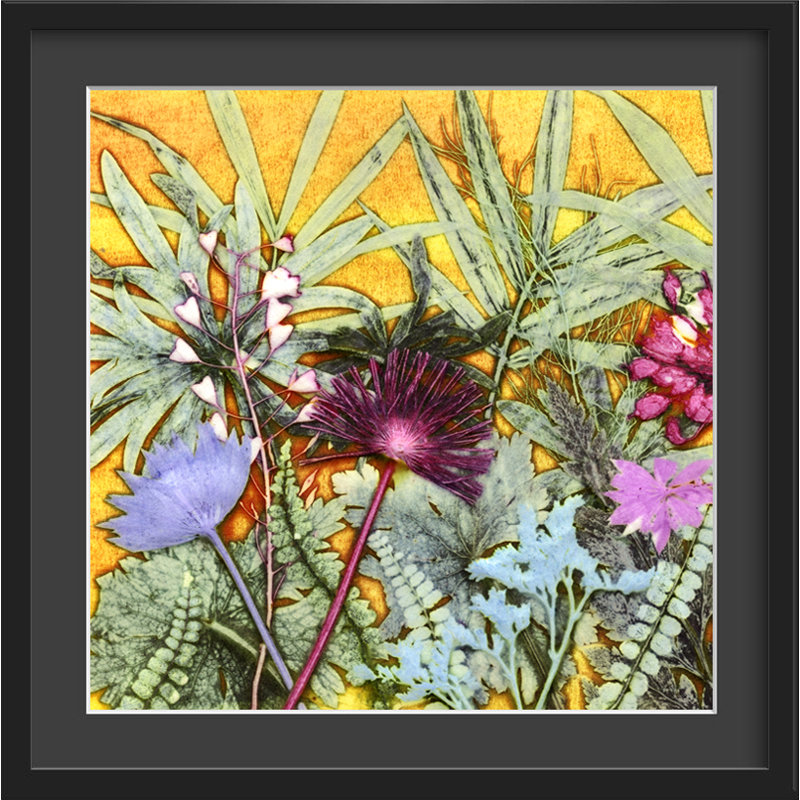 Tropical Sunshine by Gillian Arnold - Single Picture Frame Print