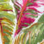Majorelle Diani 100% Cotton Fabric-205829420