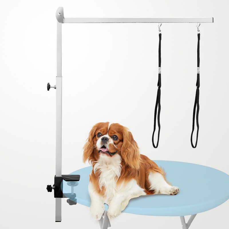 Toilettage pour animaux Amiliya, Acier inoxydable