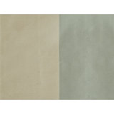 Petersburg Stp Silk Fabric