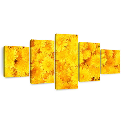 Hued Dandelions