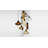 Ladies Emma - One Light Pendant-63328232-63328235