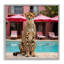 Guépard posé au bord de la piscine, estampe numérique, design par lettré et doublé-108502865-108502866