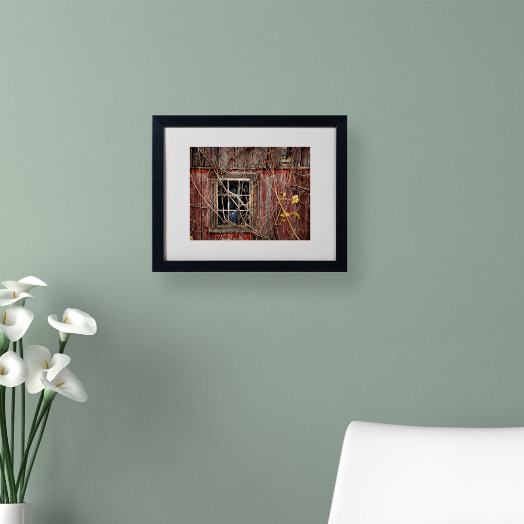 "Old Barn Window" by Lois Bryan Matted Framed Photographic Print Trademark Fine Art 