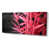 Toile tendue