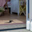 Clinard Non-Slip Outdoor Doormat