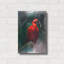 «Scarlet ibis» par Robert Campbell-1406144118