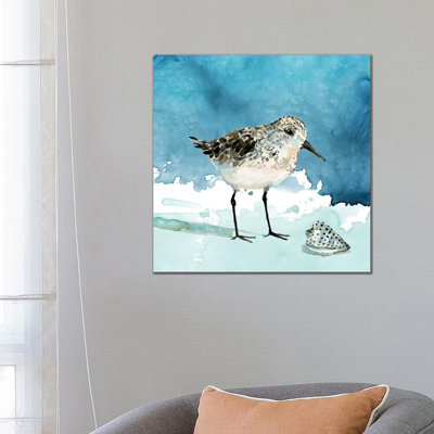 Delray Sandpiper I 1 Piece Wrapped Canvas Painting