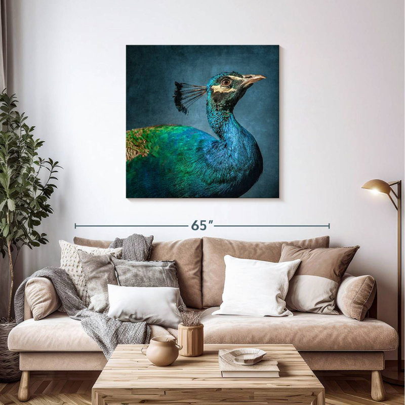 Brampt Proud Peacock