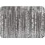 Birch Forest Placemat Set-69603998