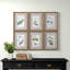 "Green Floral Botanical Study" - 6 Piece Art Set