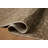 Loloi Haywood Sage / Brown Area Rug-1465940936