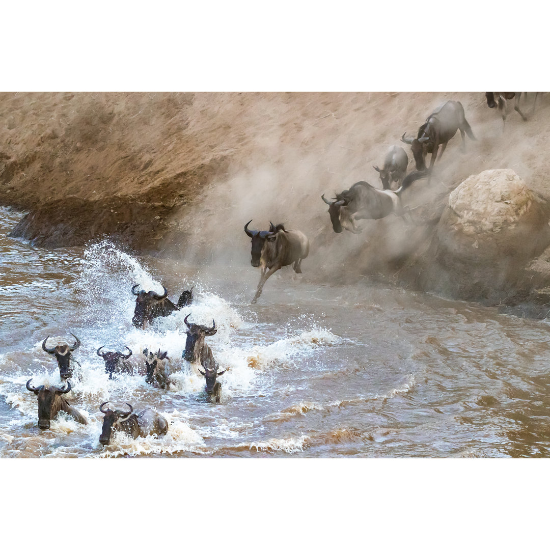 Leinwandbild Gnus bei der Überquerung des Mara-Flusses während der Großen Migration