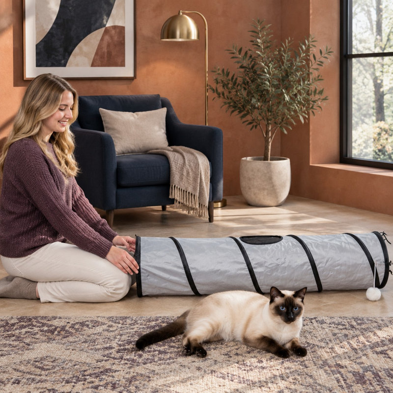 Un trou d'observation et une balle transforment ce tunnel d'intérieur pliable en un refuge pour chat.