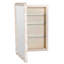 Andy 20'' W Mirrored Medicine Cabinet