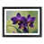 Black Framed selected