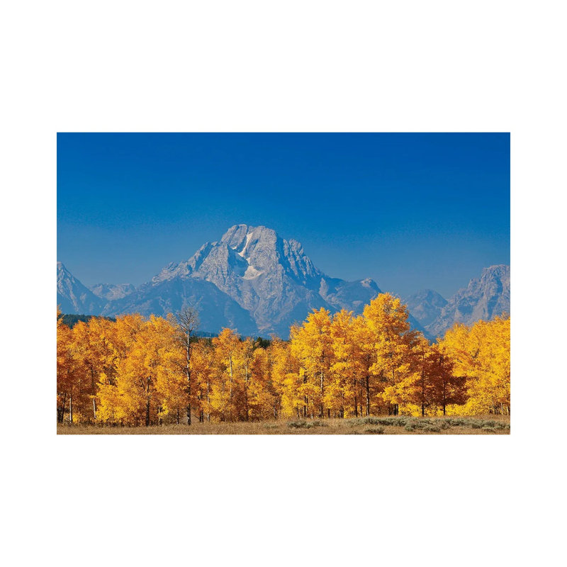 Tetons Yellow Autumn 1 Piece Wrapped Canvas Wall Art, 66.04 cm H x 45.72 cm W x 3.175 cm D