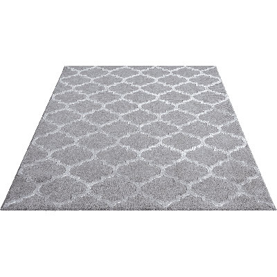 Kaela Hisaya Rug in Grey