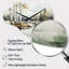 Horloge murale asymétrique Cullers Birch Woods Birch Haven - Birch Cloud-367025766