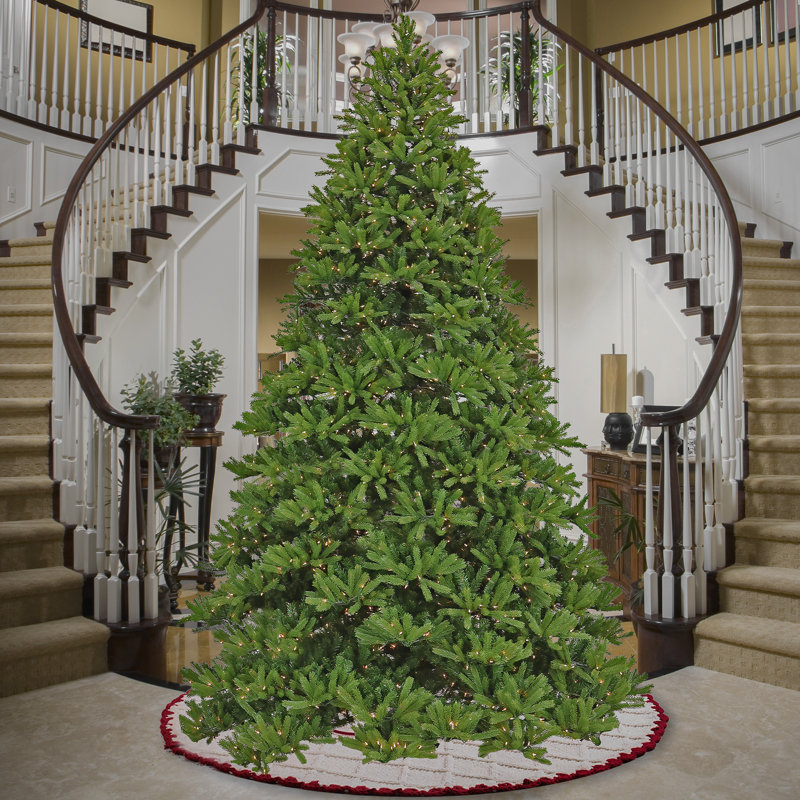 12' H Green Fir Christmas Tree with 2000 Lights