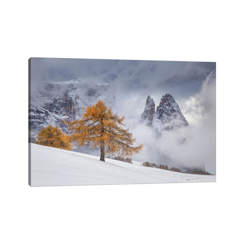 Between Seasons 1 Piece Wrapped Canvas Wall Art, 20.32 cm H x 30.48 cm W