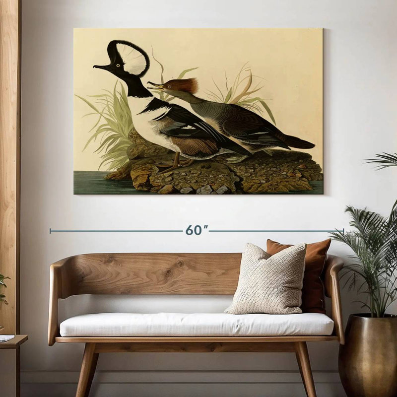 Hooded Merganser, 34" H x 51" W