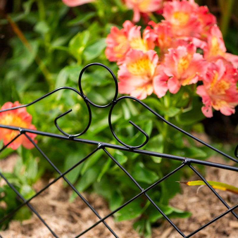 46cm H x 59cm W Steel Border Fencing, x2