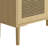 4-Doors Rattan Mesh Storage Cabinet-1821482555