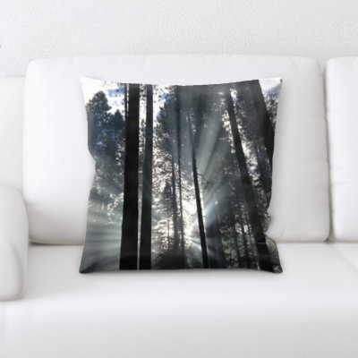 Coussin décoratif