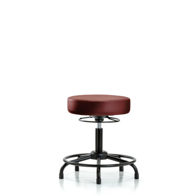 Keyonie Adjustable Height Ergonomic Lab Stool with Footring
