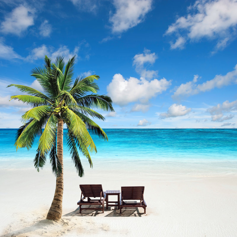 Palm Tree On Beach - Wrapped Canvas Print, 76cm H x 76cm W x 3.8cm D