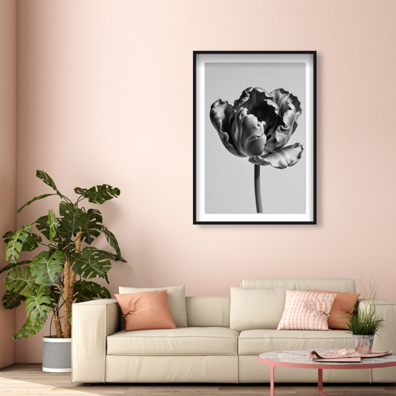 Take A Peek Print by Oliver Gal, 37.5"H x 55.5"W, Black Shadowbox