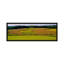 « field of corn cultures, baltimore, maryland », reproduction de photo sur toile-71985490-19976929