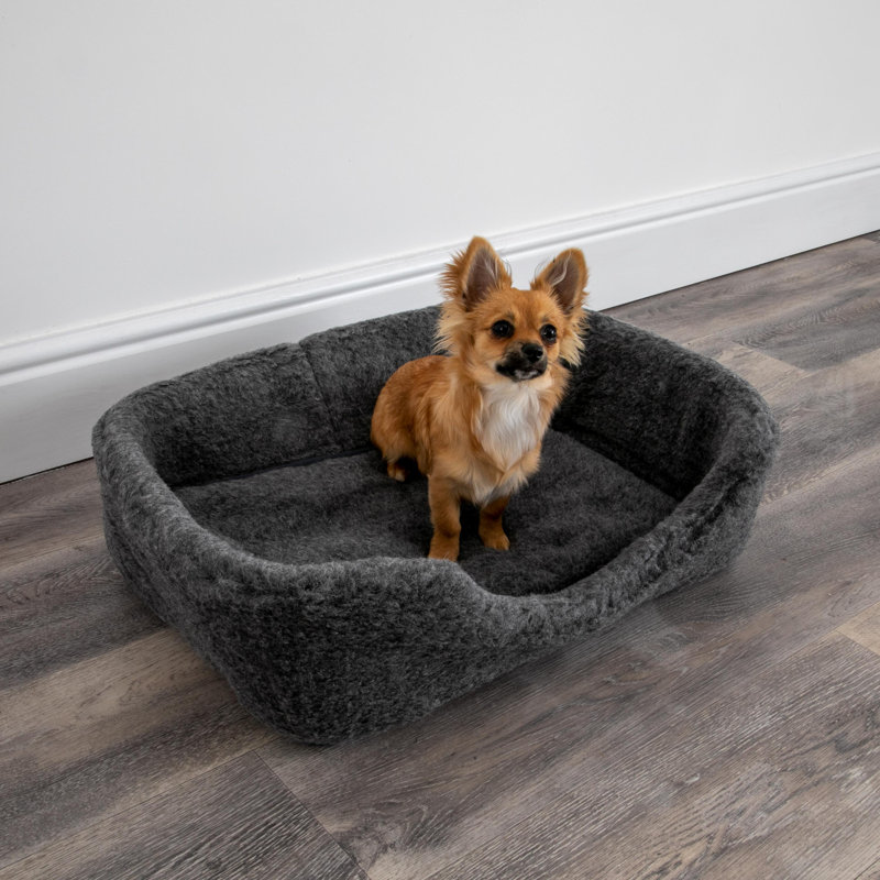 Azaiah Fleece Pet Bed, 10cm H x 60cm W x 40cm D, Grey