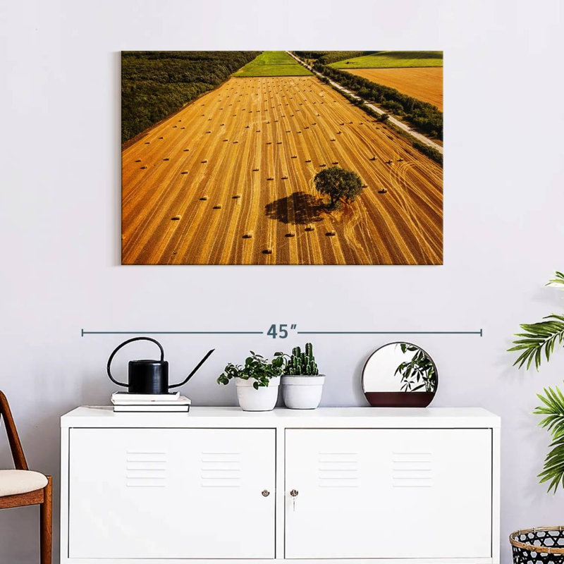 Alvord Hay Bales Fields, H 24 po x l 36 po